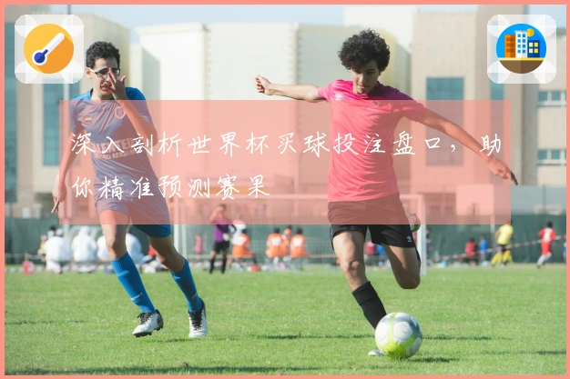 深入剖析世界杯买球投注盘口，助你精准预测赛果