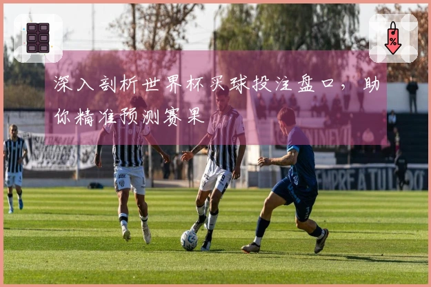 深入剖析世界杯买球投注盘口，助你精准预测赛果