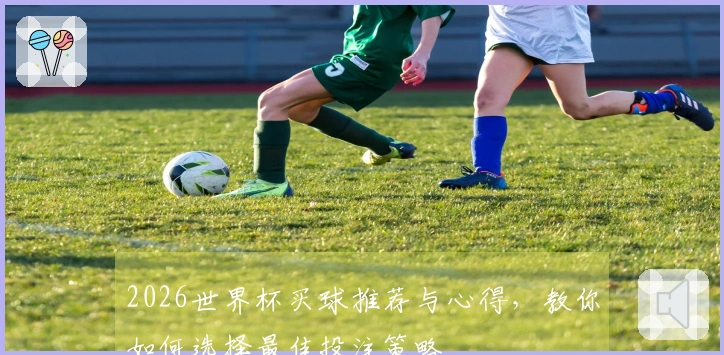 2026世界杯买球推荐与心得，教你如何选择最佳投注策略