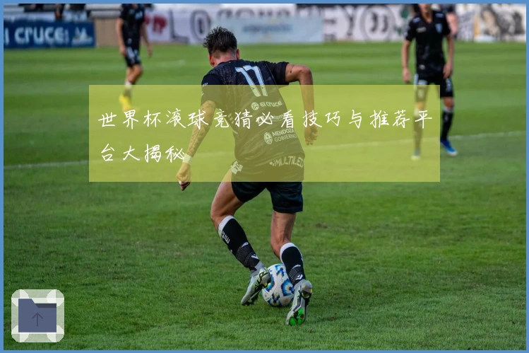 世界杯滚球竞猜必看技巧与推荐平台大揭秘
