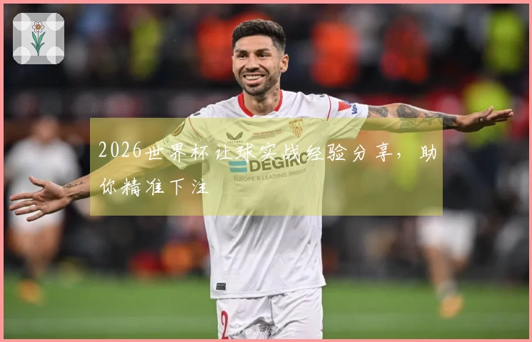2026世界杯让球实战经验分享，助你精准下注