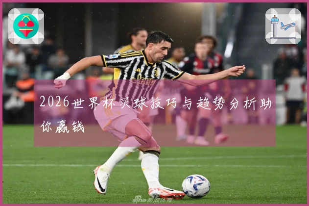 2026世界杯买球技巧与趋势分析助你赢钱