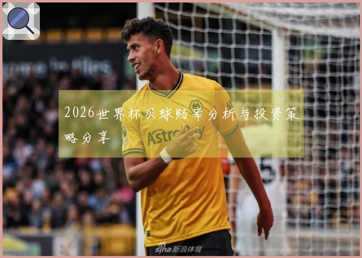 2026世界杯买球赔率分析与投资策略分享