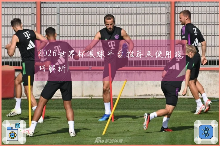 2026世界杯滚球平台推荐及使用技巧解析