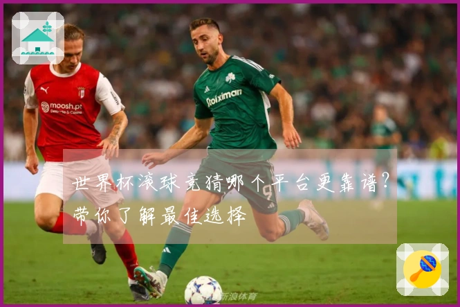 世界杯滚球竞猜哪个平台更靠谱？带你了解最佳选择