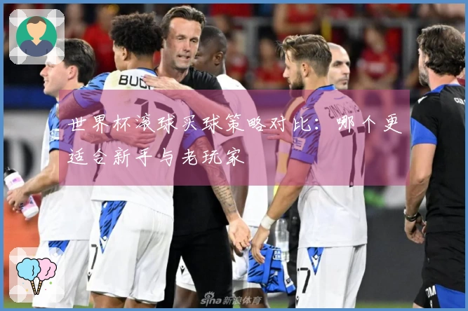 世界杯滚球买球策略对比：哪个更适合新手与老玩家