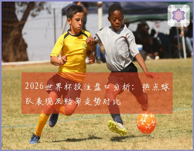 2026世界杯投注盘口分析：热点球队表现及赔率走势对比