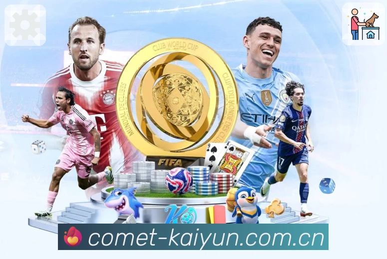 观赛效率与工具链路展示